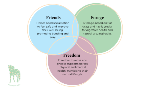 The Three Fs: Ensuring a Species-Appropriate Life for Horses