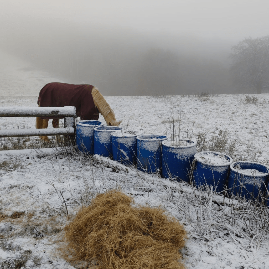 How To Survive Winter As An&nbsp;Equestrian