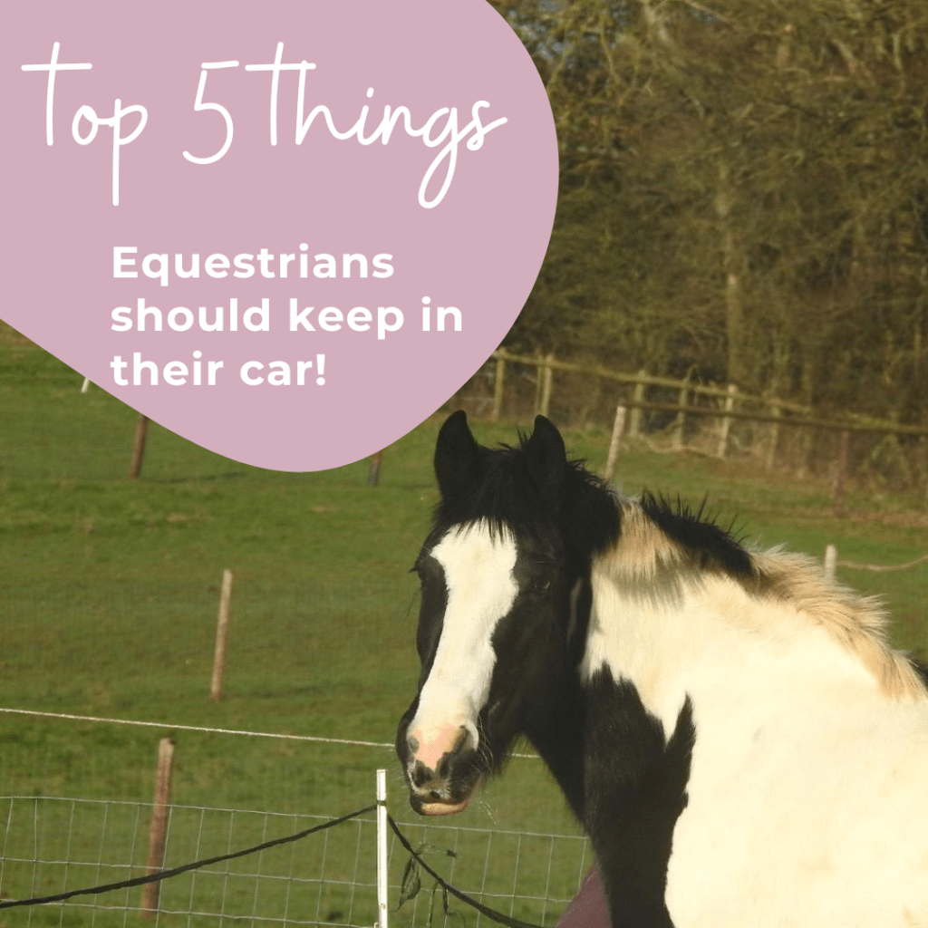 Top 5 things equestrians should keep in the car