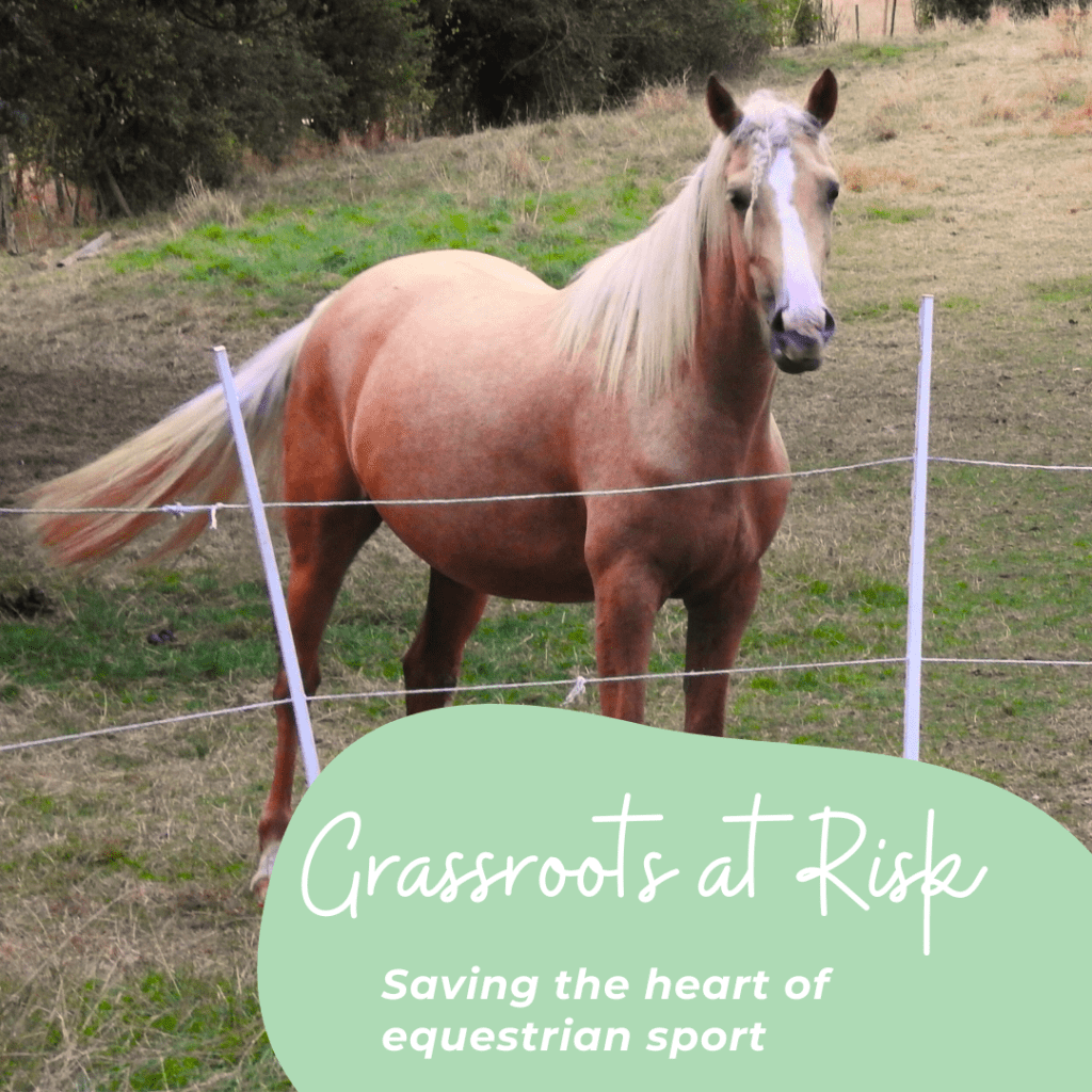 Grassroots equestrian at risk