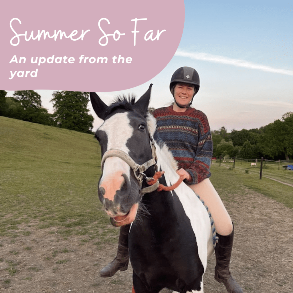 Summer So Far - An Update